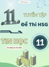 Tuyển tập 11 Đề thi HSG môn Tin học Lớp 11 (Có đáp án chi tiết)